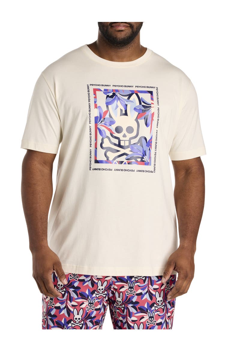 Big & Tall Florian Graphic Tee, Main, color, PRISTINE