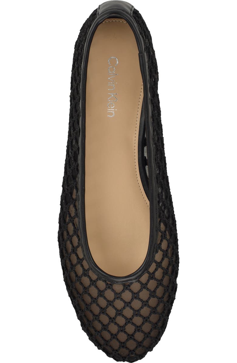 Calvin Klein Delicate Mesh Ballet Flat, Alternate, color, Black