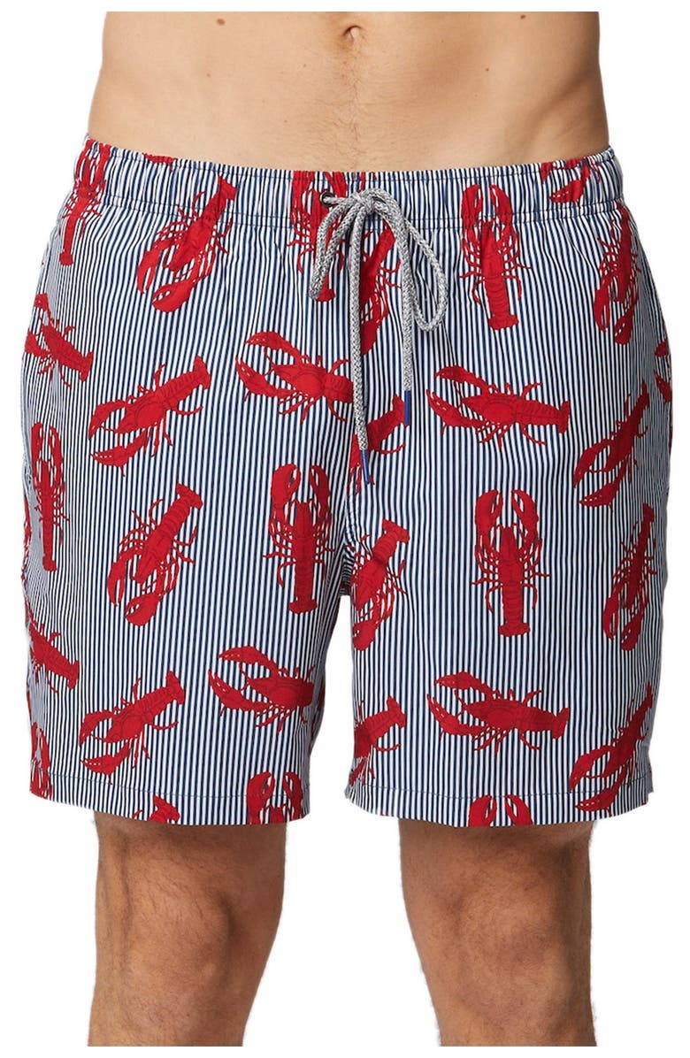 Rainforest Rock Lobster Stretch Swim Trunks, Main, color, 