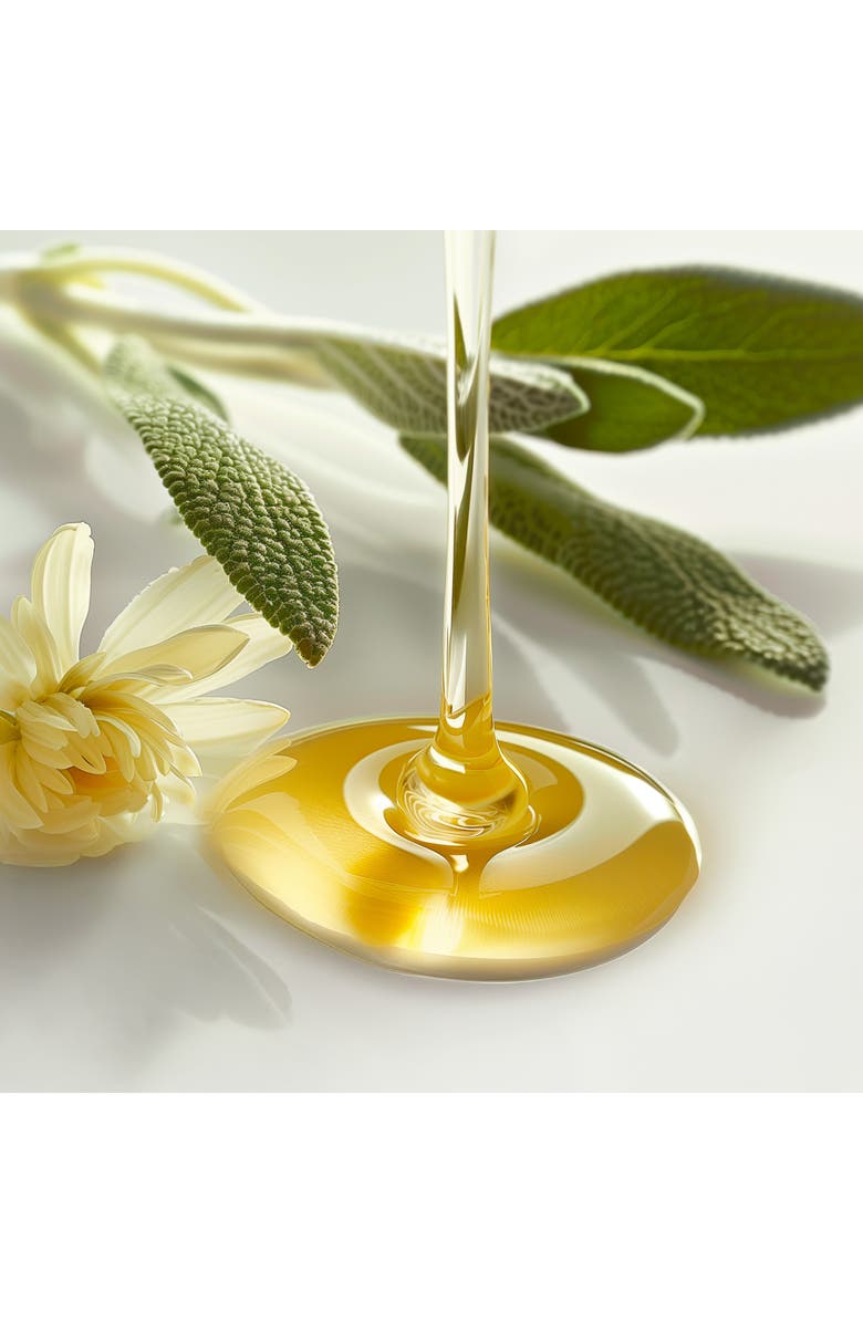 Leonor Greyl PARIS Balancing Shampoo, Alternate, color,