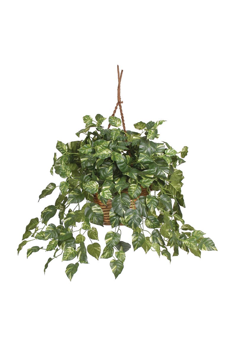 Pothos Hanging Basket Artificial Plant, Main, color, Green