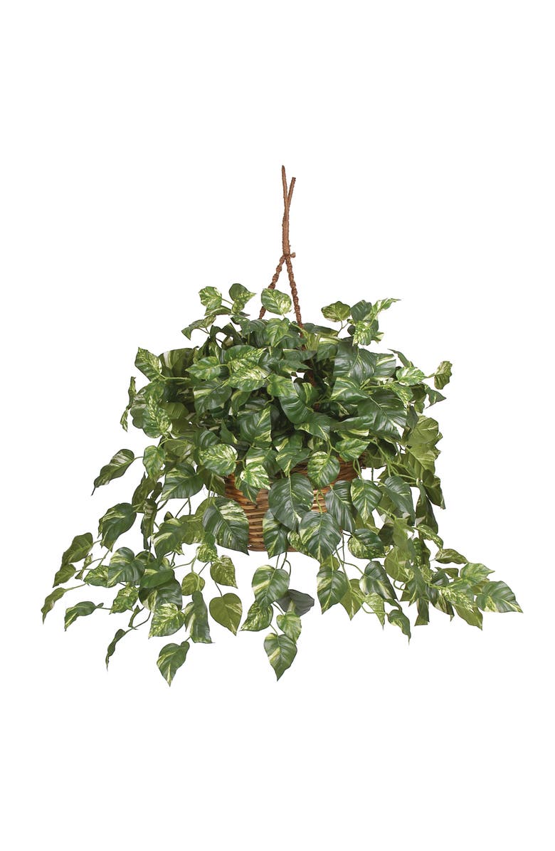 NEARLY NATURAL Pothos Hanging Basket Artificial Plant, Main, color, Green