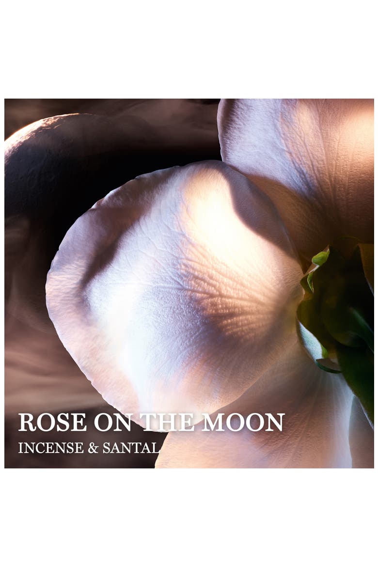 Absolue Les Parfums Rose on the Moon Eau de Parfum (Women) | Nordstrom