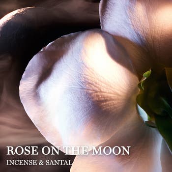 LANCOME ABSOLUE ROSE ON THE MOON Product - Absolue Rose On The