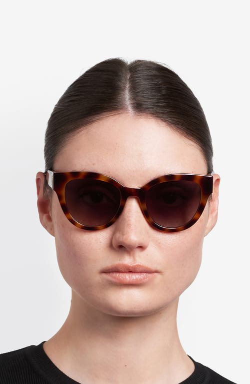 Fossil 52mm Cat Eye Sunglasses In Brown
