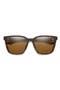 selected Matte Tortoise / Polarized Brown