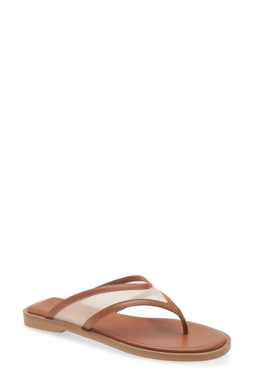 Freda Salvador Mesh Flip Flop In Brown