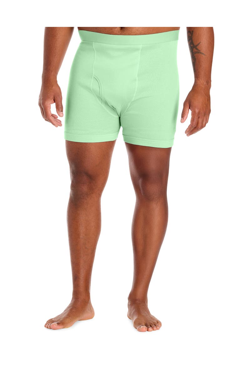 Harbor Bay by DXL Big & Tall 3-pk Solid 4 Inch Boxer Briefs V2, Alternate, color, Pastel Green