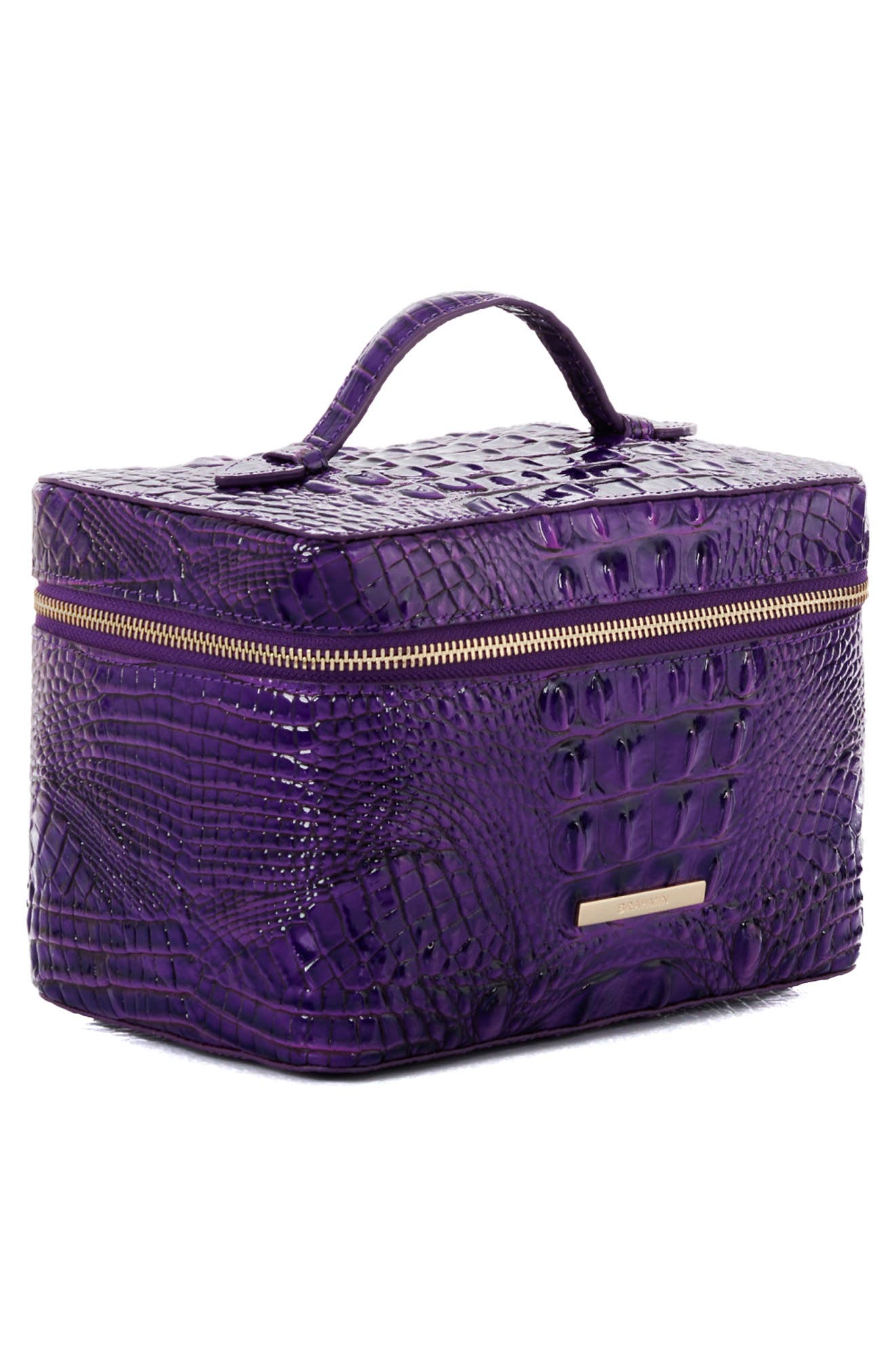 Brahmin Charmaine Croc Embossed Leather Train Case, Alternate, color, 