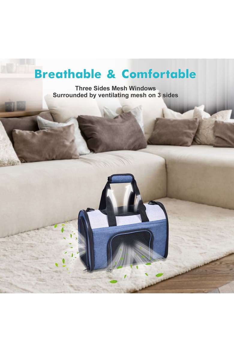 Sport Airline Pet Carrier, Alternate, color, Multicolored