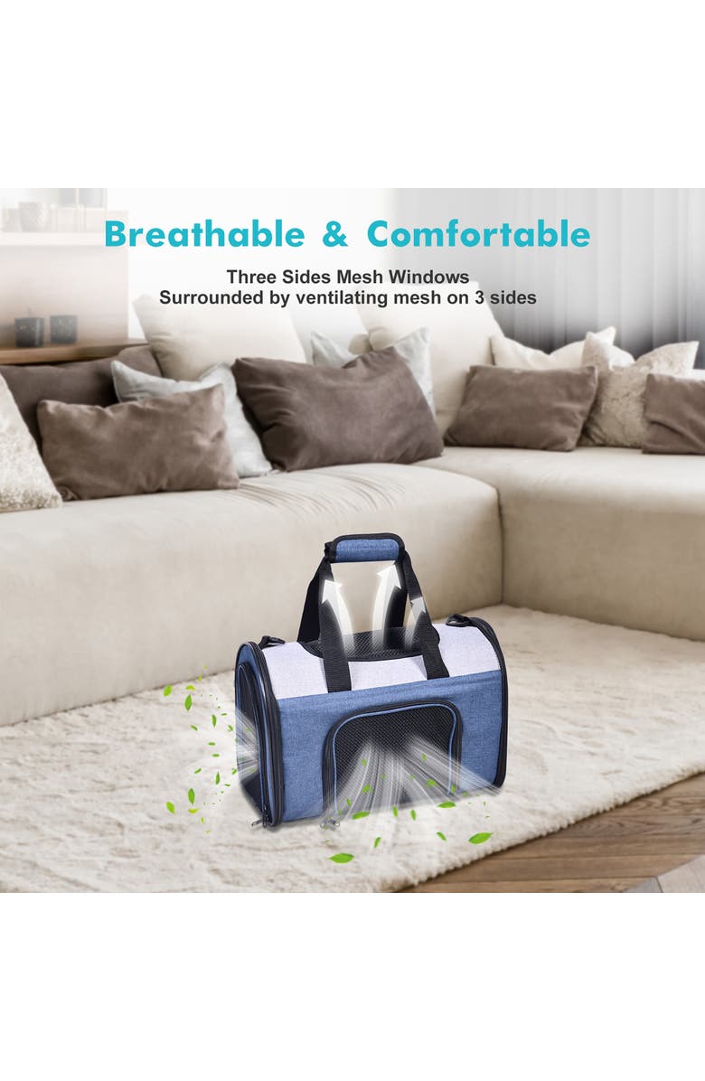 JESPET Sport Airline Pet Carrier, Alternate, color, Multicolored