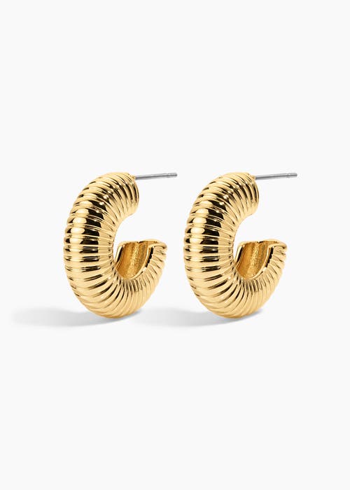 Electric Picks West Hoops In Gold
