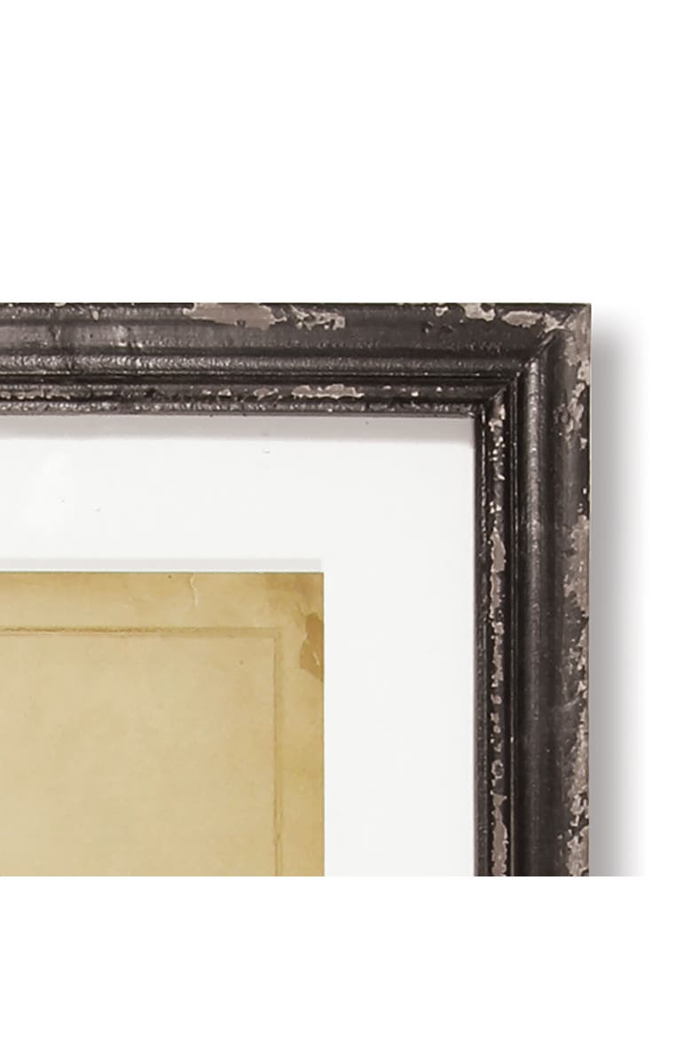 Napa Home & Garden Framed Vintage Fern Prints Set of 8, Alternate, color, Brown