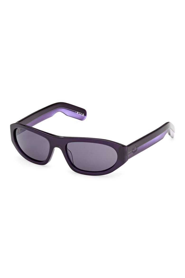 Oval Sunglasses, Alternate, color, SHINY VIOLET/ VIOLET