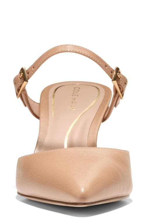 Shop Cole Haan Annalise Pointed Toe Mule