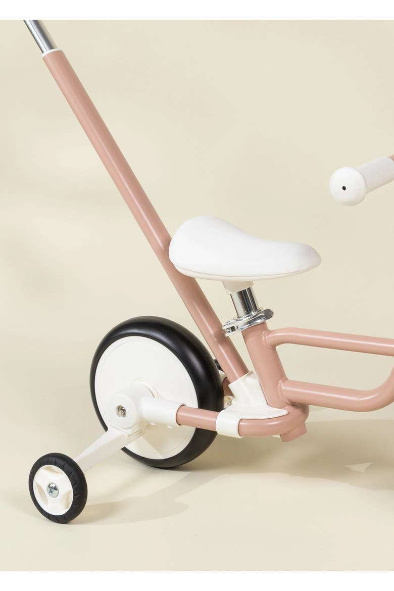 Tricycle with Push Handle & Training Wheels, Alternate, color, Petunia