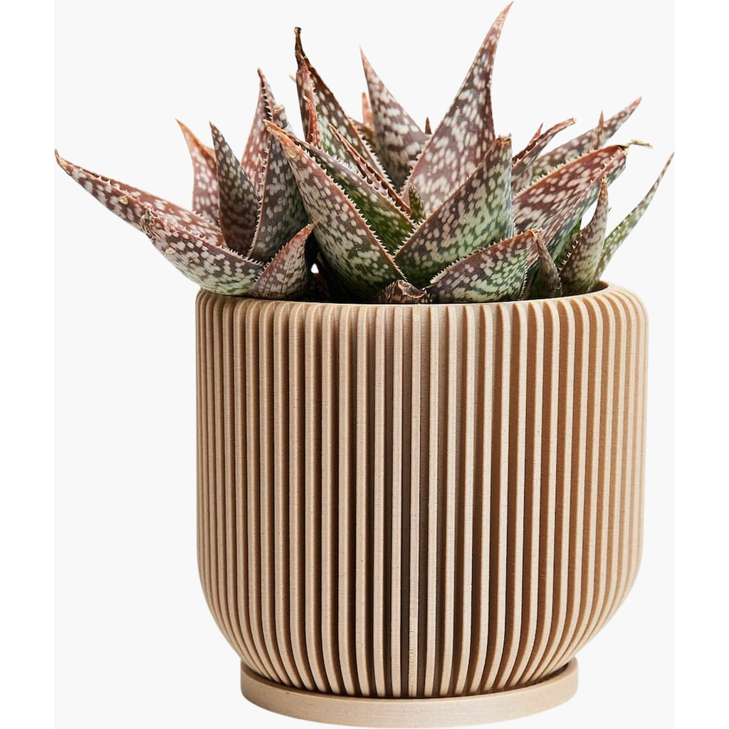 WOODLAND PULSE WOODLAND PULSE IONIC MODERN RIBBED PLANTER PLANTER, PLANT POTS, FLOWER POTS