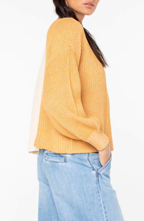 Roxy Sandbar Hop Colorblock Cotton Sweater In Neutral
