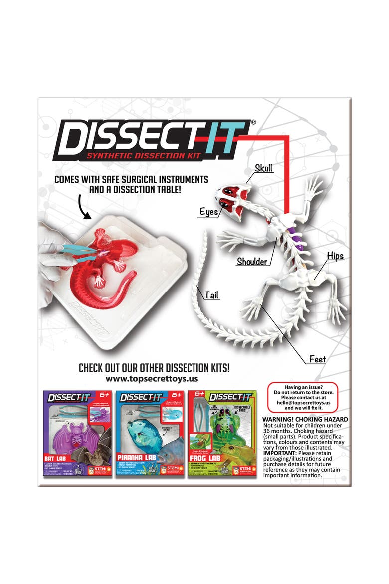 Dissect It Salamander Lab Synthetic Dissection Kit, Alternate, color, Multicolored