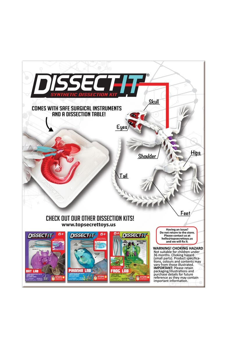 Dissect-It Dissect It Salamander Lab Synthetic Dissection Kit, Alternate, color, 