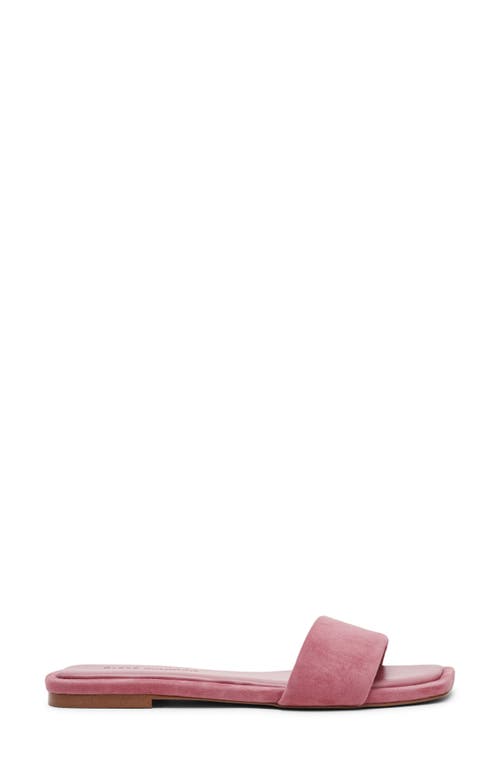 Steve Madden Lumina Slide Sandal In Pink