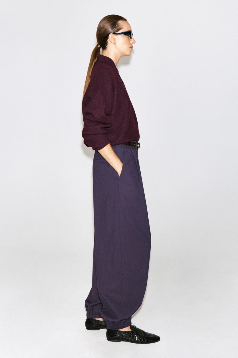 Pleated Balloon Pants, Alternate, color, DARK PURPLE