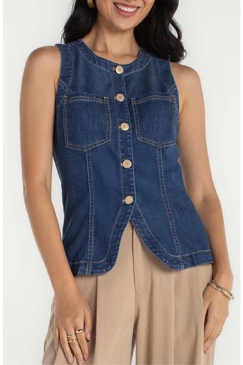 Denim Split Front Vest, Main, color, WILDER
