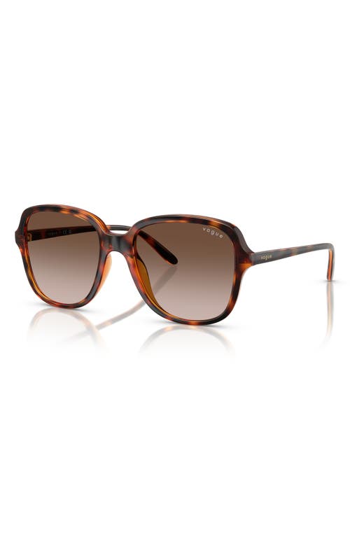 Vogue 53mm Polarized Square Sunglasses In Dark Havana