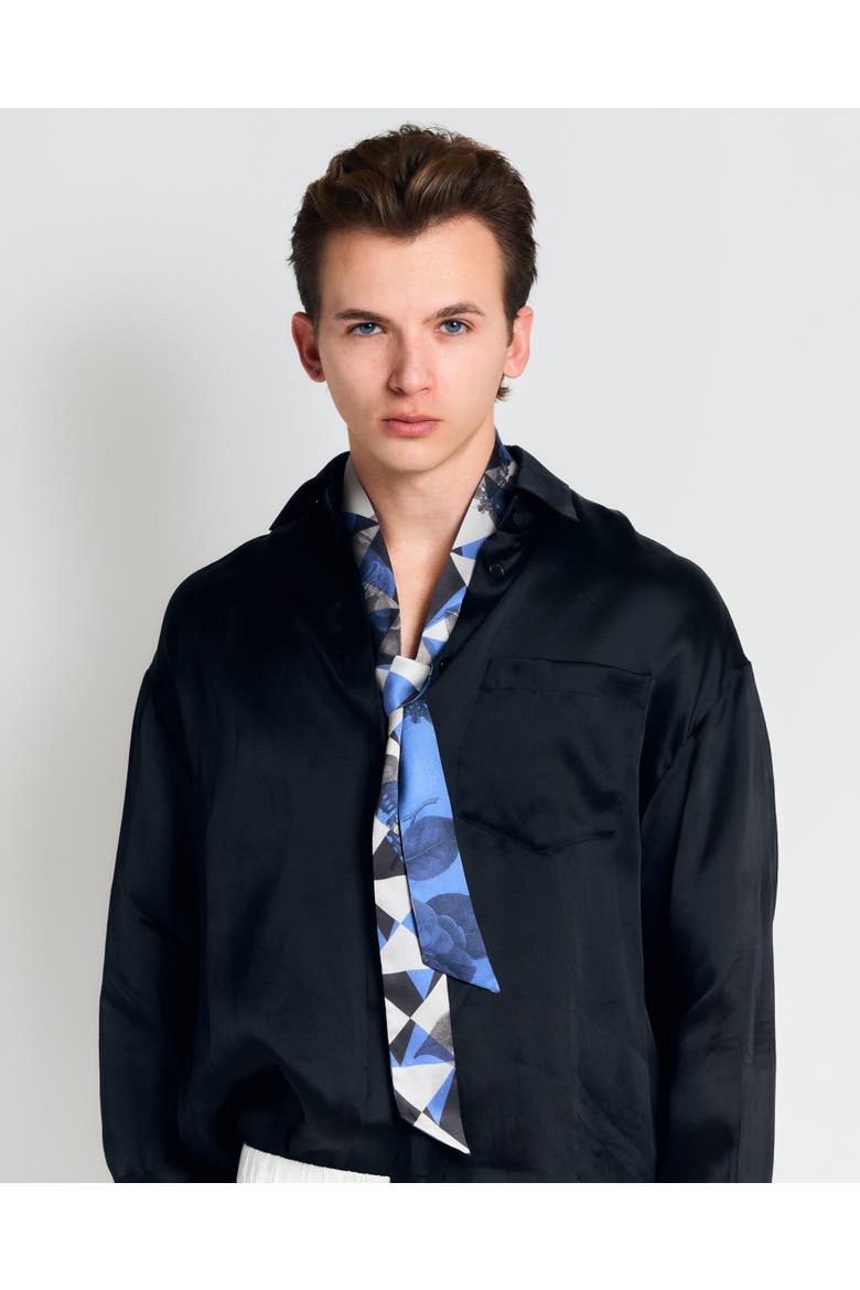 "Prism" Silk Skinny Scarf, Alternate, color, Blue