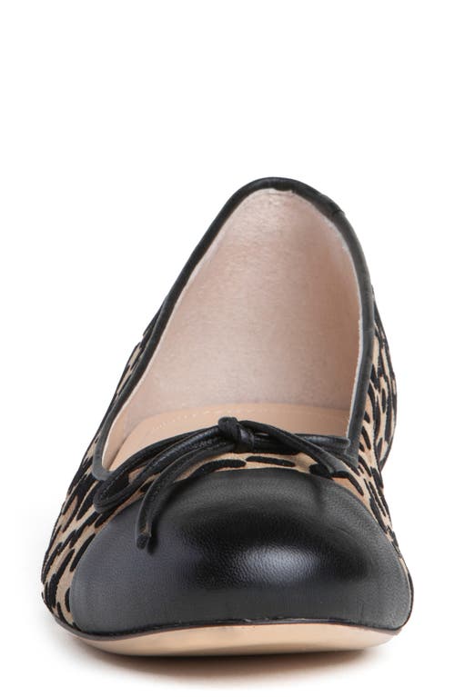 Beautiisoles Beatrice Cap Toe Pump In Leopard