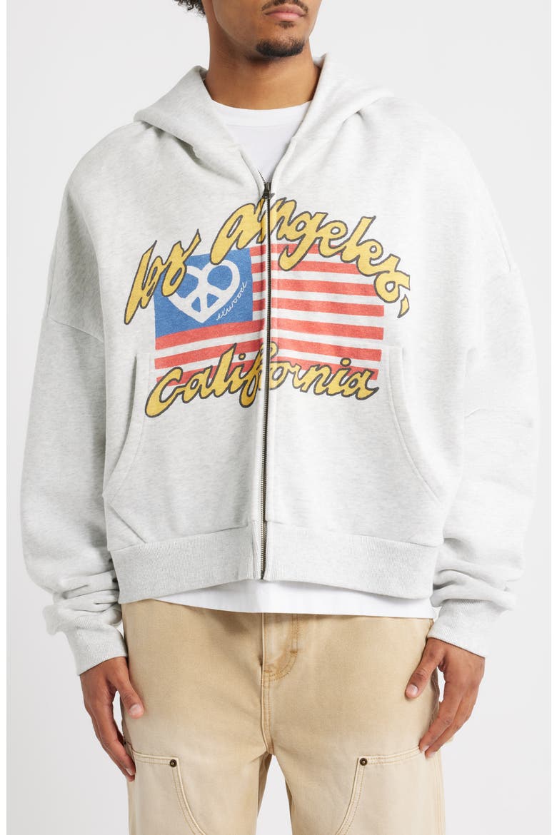 Flag Graphic Zip Hoodie, Alternate, color, ASH GREY