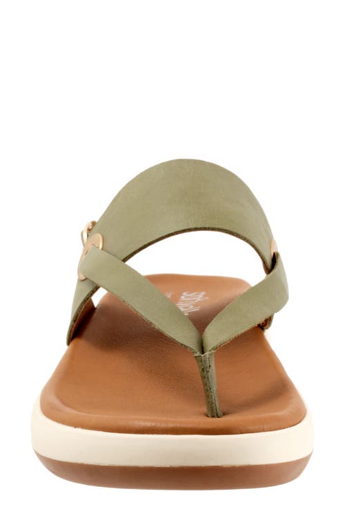 Softwalk ® Joliet Slingback Sandal In Olive
