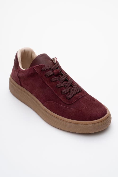 Forever & Always Shoes Fyore Leather Sneakers in Burgundy Suede Leather at Nordstrom, Size 5.5
