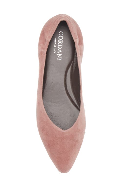 Cordani Mavis Pointed Toe Flat In Pink