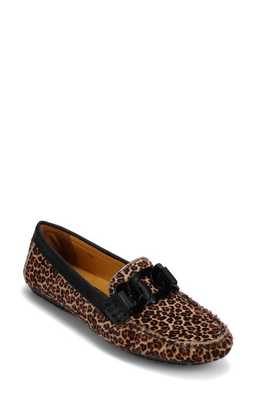 Vaneli Aiker Driving Loafer In Brown