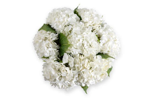Cocobella Ian Realtouch Hydrangea Arrangement In Snow