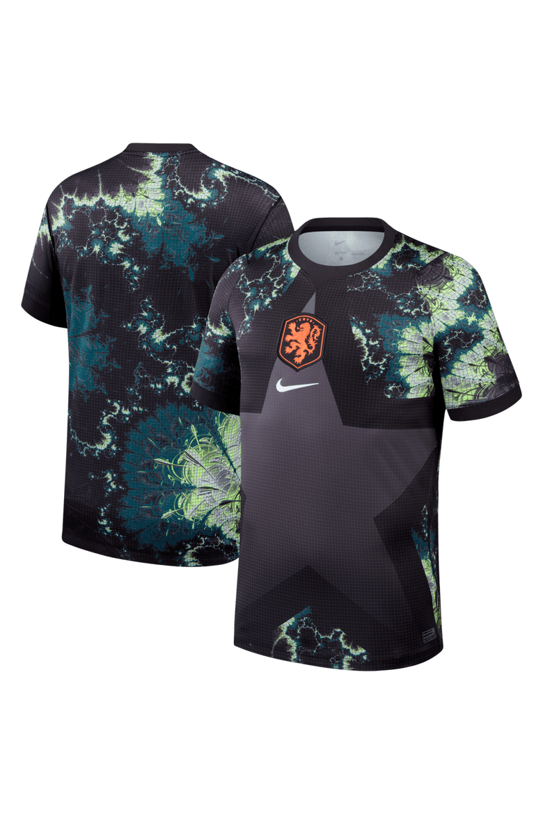 Men's Nike  Gray Netherlands National Team 2026 Goalkeeper Stadium Replica Jersey, Main, color, Gray