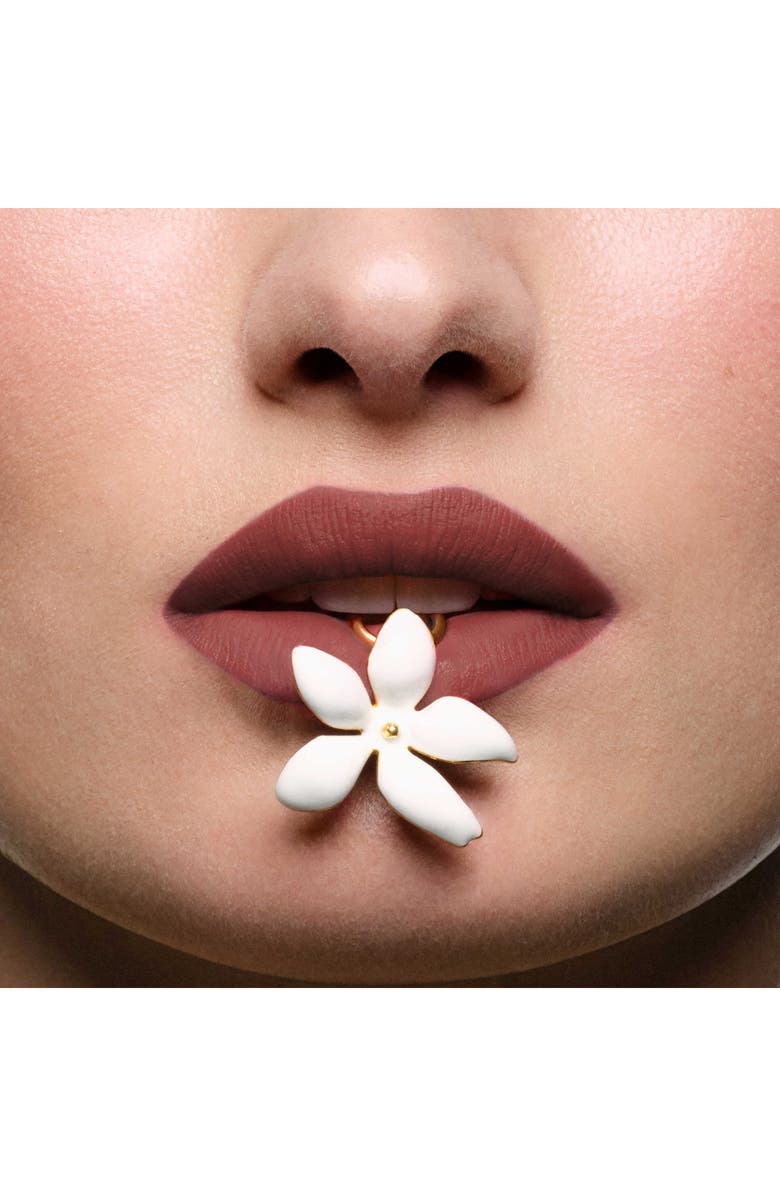 Carolina Herrera Fabulous Kiss Matte Lipstick Refill, Alternate, color, 442 Brown Fundamental