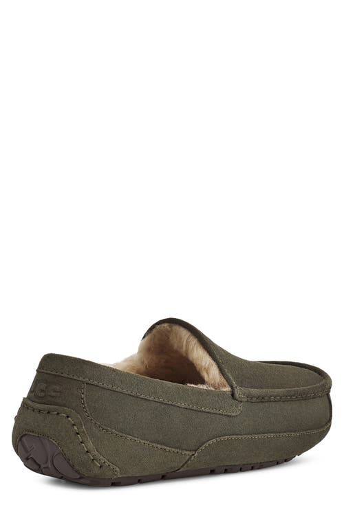 Ugg Ascot Slipper