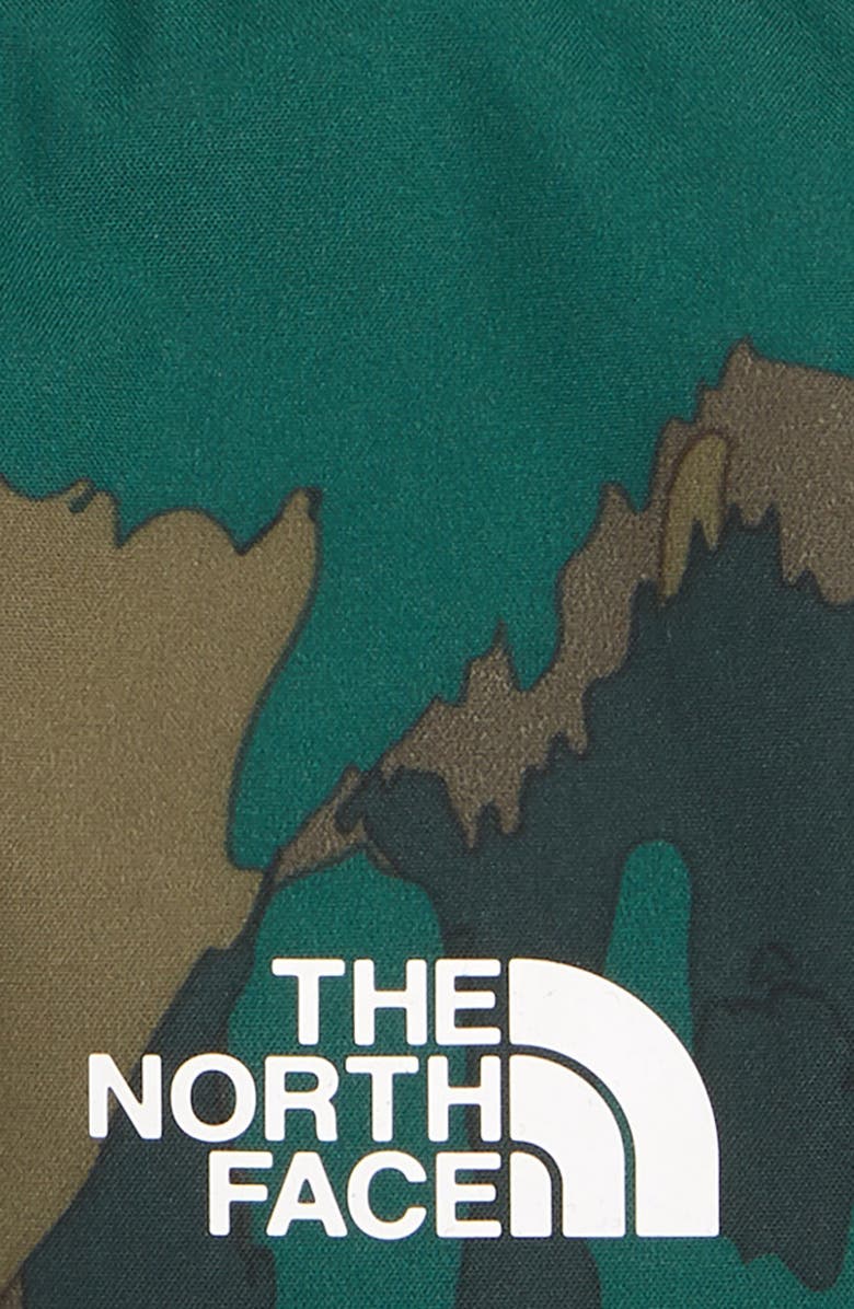 The North Face Suave Oso Mittens, Alternate, color,