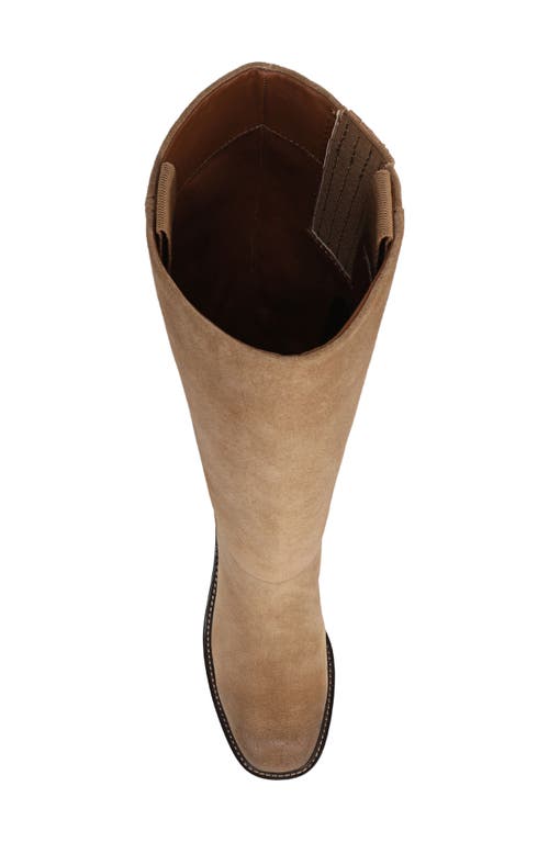 Franco Sarto Niva Knee High Boot In Brown