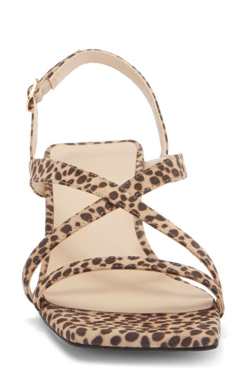 Stuart Weitzman Oasis 50 Slingback Kitten Heel Sandal In Classic