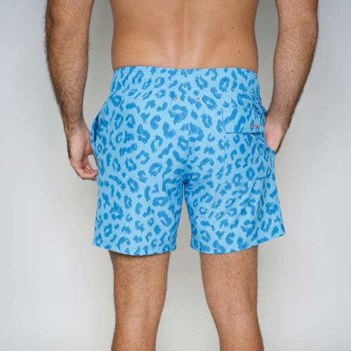 Le Club Resortwear 4.25" Le Club 4 Way Stretch Mens Swim Trunk In Ember