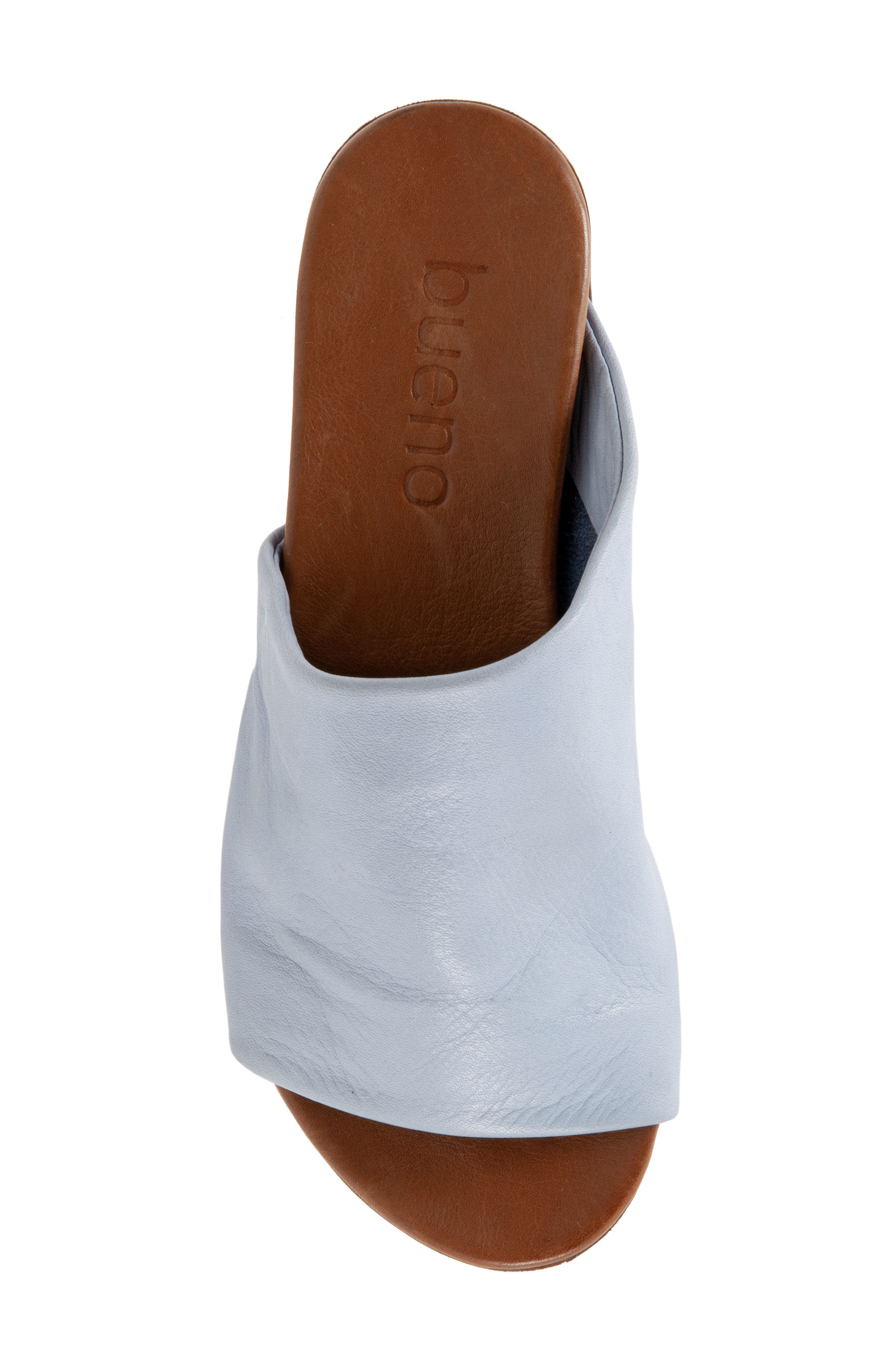 Turner Slide Sandal, Alternate, color, POWDER BLUE LEATHER