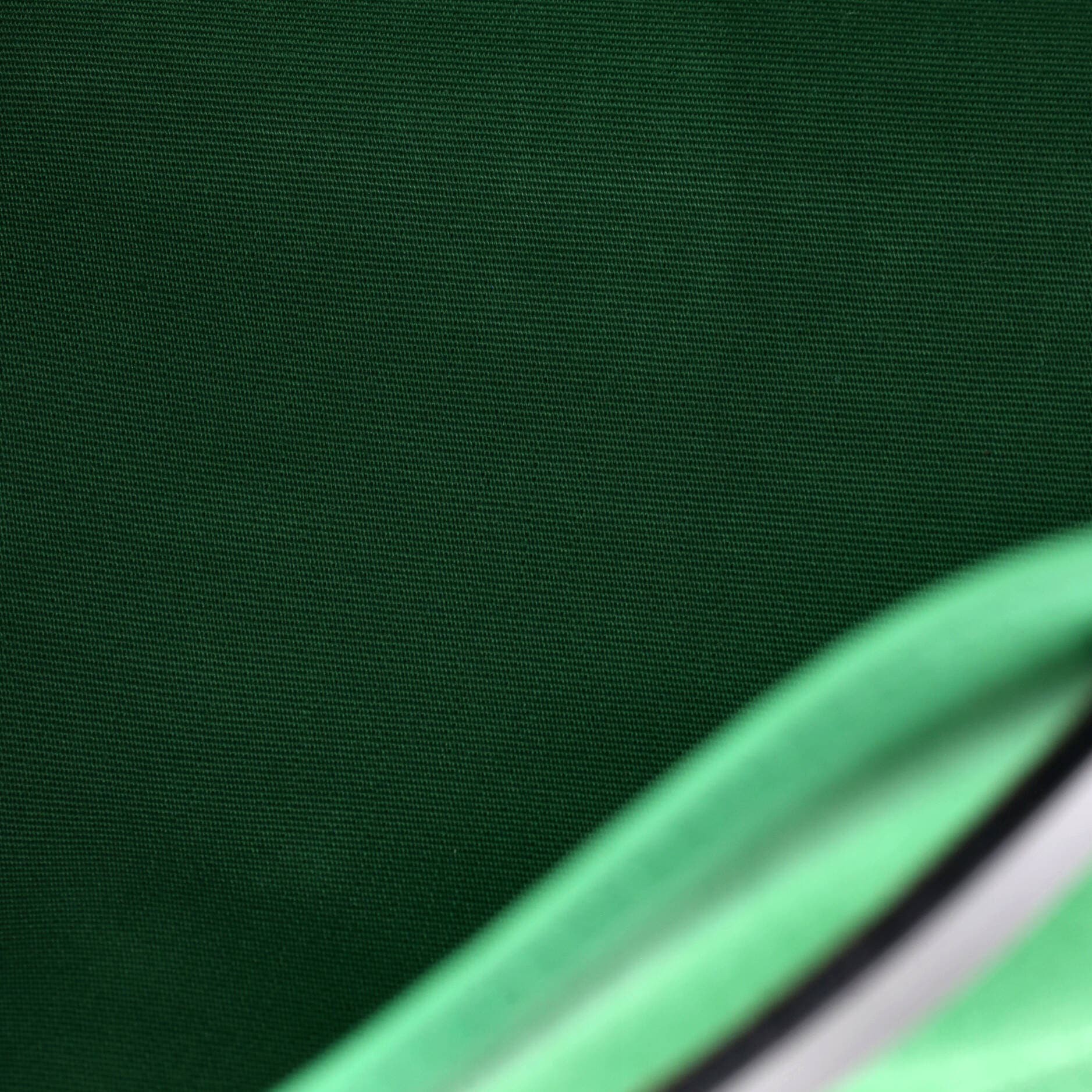 Herbag Zip Leather and Toile 31, Alternate, color, Green