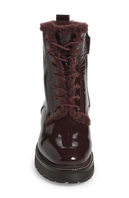 Tory Burch Miller Genuine Shearling Lined Combat Boot
