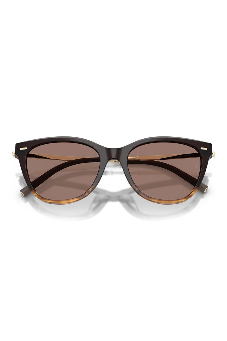 x Roger Federer Mr. Federer 55mm Cat Eye Sunglasses, Alternate, color, CORTADO / SIERRA