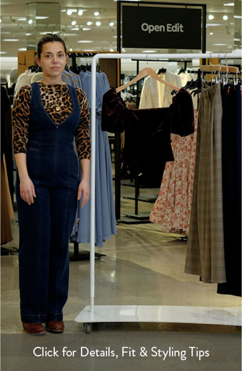 Elyria Velvet Puff Sleeve Top, sales video thumbnail