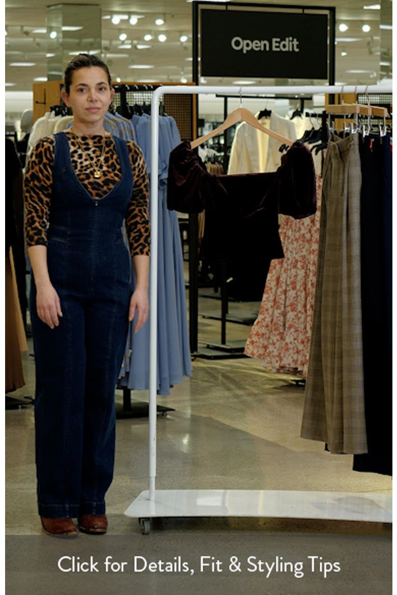 Elyria Velvet Puff Sleeve Top video