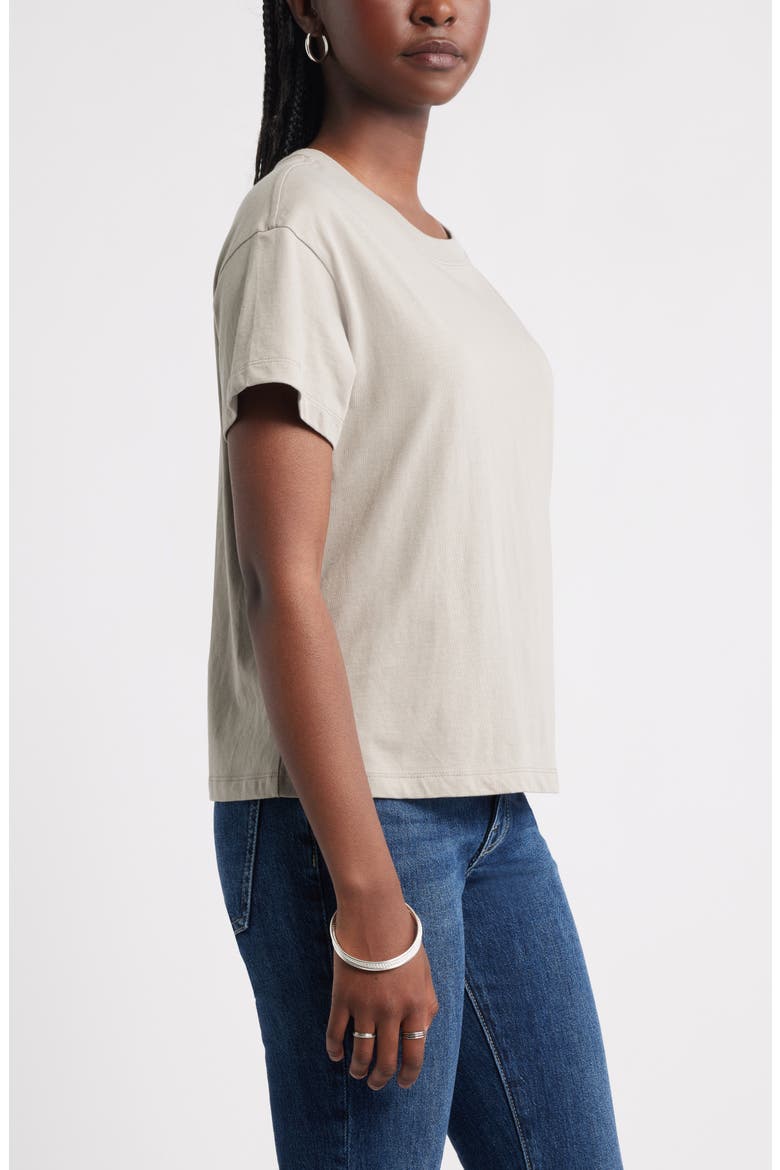Favorite Cotton T-Shirt, Alternate, color, GREY TAUPE